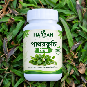 পাথরকুচি মিক্স ১০ দিনের (Free)